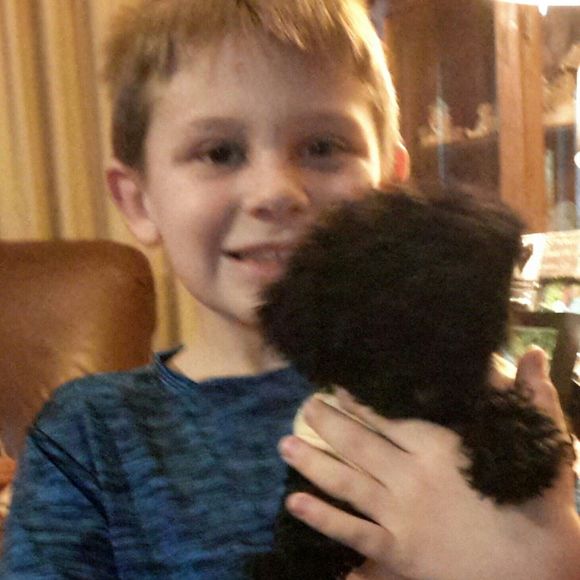 Meet your Posher, Sheila - Picture 1 of 1